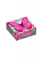 Liran čaj Ružový motýľ 5x2g (L045)