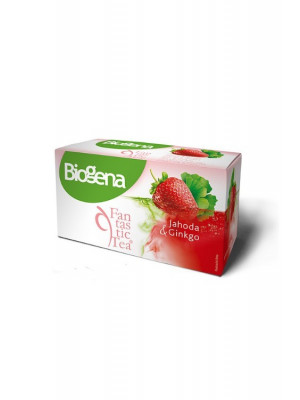 Biogena Fantastic tea jahoda + ginkgo 20x2g